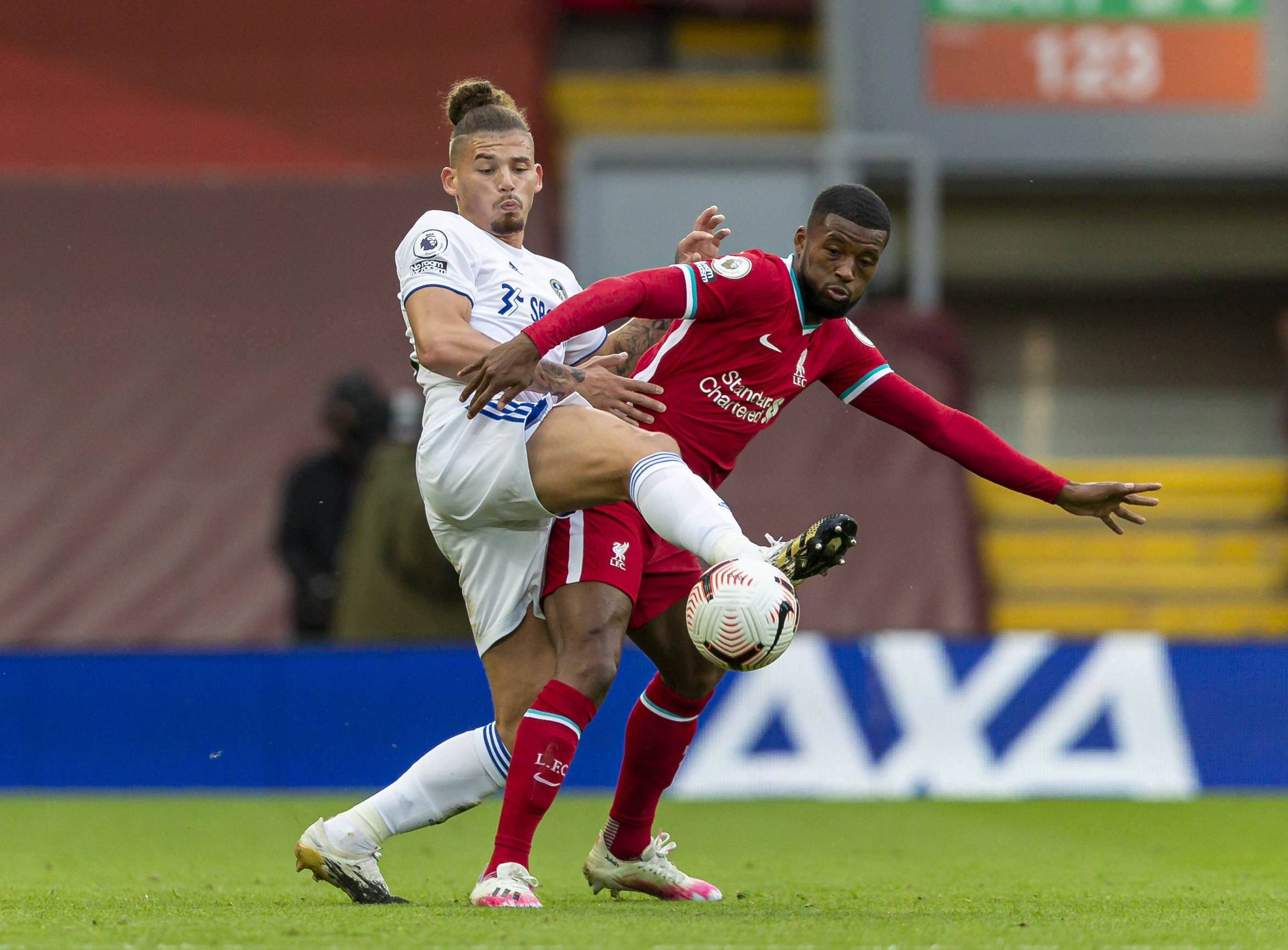 物浦自然被 物浦自然被